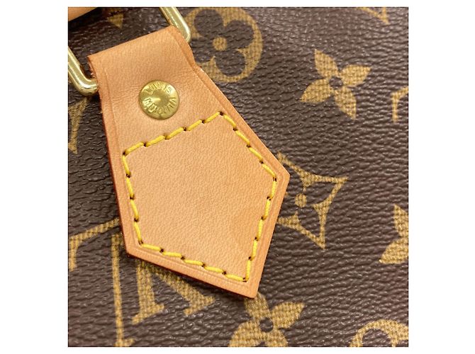 Borsa Louis Vuitton M41526 Speedy 30 Monogramma - vista 11