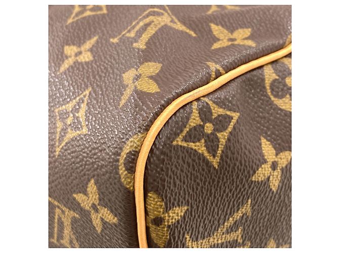 Borsa Louis Vuitton M41526 Speedy 30 Monogramma - vista 16