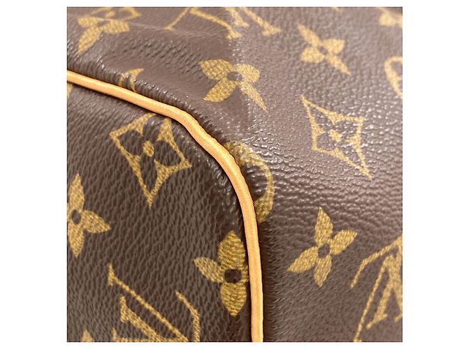 Borsa Louis Vuitton M41526 Speedy 30 Monogramma - vista 17