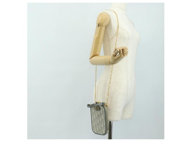 Custodia per telefono Christian Dior Oblique 30 Trotter Canvas con catena Grigio Auth 184749M Marrone D'oro - vista 24