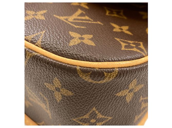 Borsa a Spalla Louis Vuitton M42250 Sologne Monogramma - vista 16