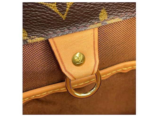 Bolso Tote Louis Vuitton Monogram Vavin GM Castaño - vista 11