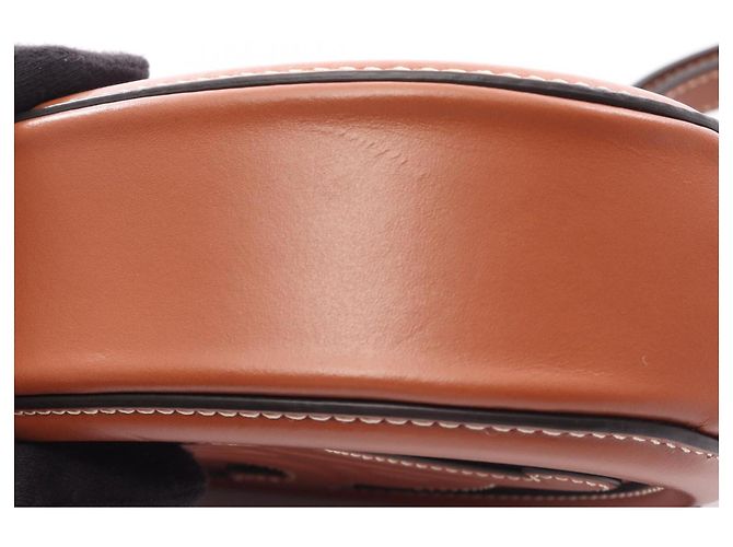Céline Borsa a tracolla Celine Triomphe Oval Purse Cuile Marrone - vista 6