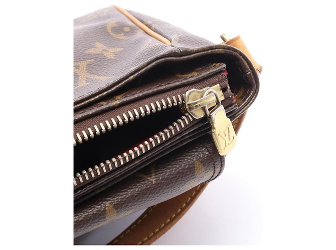 Borsa a Spalla Louis Vuitton Vivacite PM Marrone - vista 6