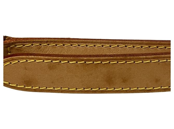 Borsa a Spalla Thompson Street Louis Vuitton D'oro - vista 6