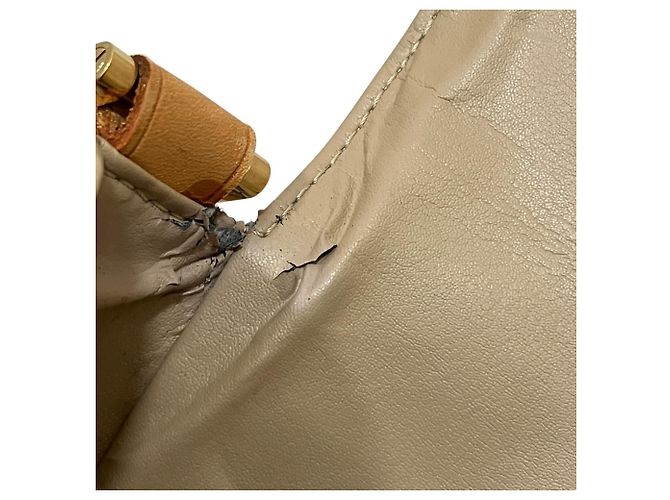 Borsa a Spalla Thompson Street Louis Vuitton D'oro - vista 9
