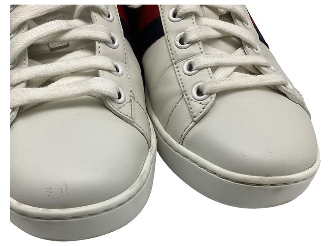 Sneakers Ace Web in pelle bianca Gucci Bianco Crudo - vista 11