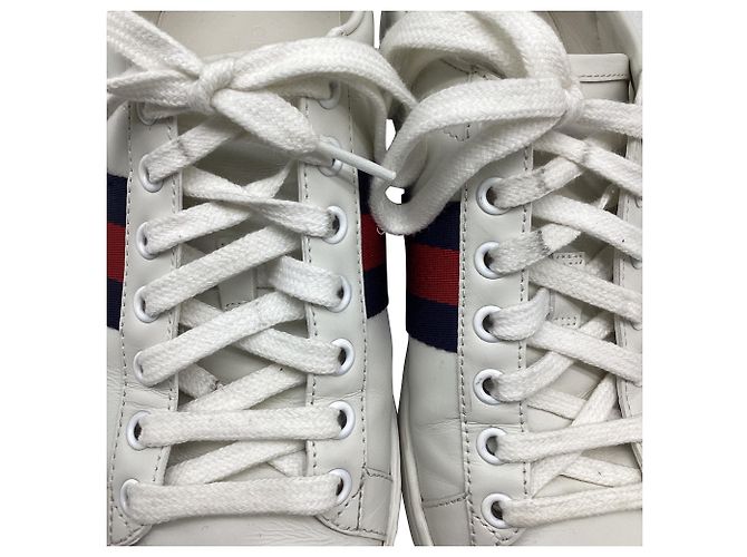 Sneakers Ace Web in pelle bianca Gucci Bianco Crudo - vista 13