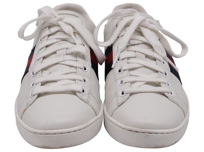 Sneakers Ace Web in pelle bianca Gucci Bianco Crudo - vista 2