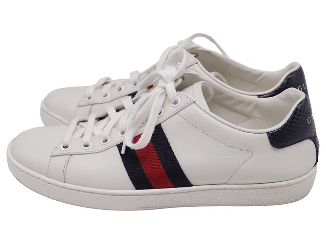 Sneakers Ace Web in pelle bianca Gucci Bianco Crudo - vista 5