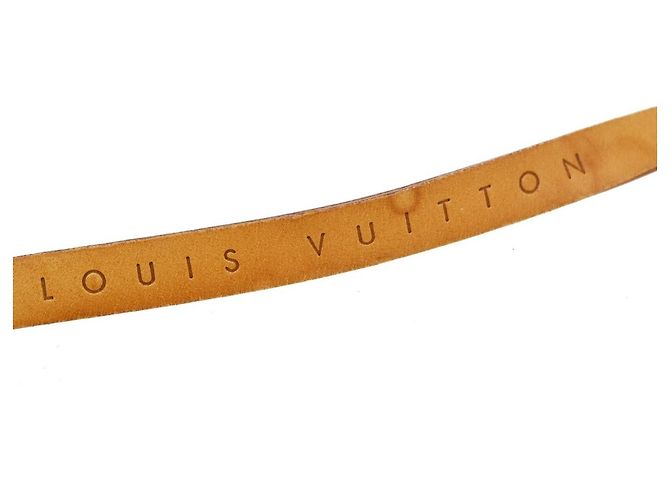 Louis Vuitton Florentine Waist Monogram Canvas - vista 6