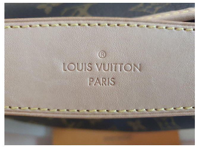 Borsa Louis Vuitton Delightful PM Pivoine Monogram Marrone Monogramma - vista 14