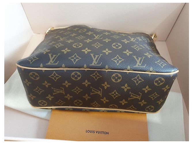 Borsa Louis Vuitton Delightful PM Pivoine Monogram Marrone Monogramma - vista 6
