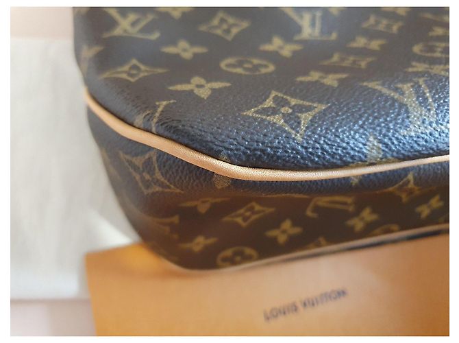 Borsa Louis Vuitton Delightful PM Pivoine Monogram Marrone Monogramma - vista 7