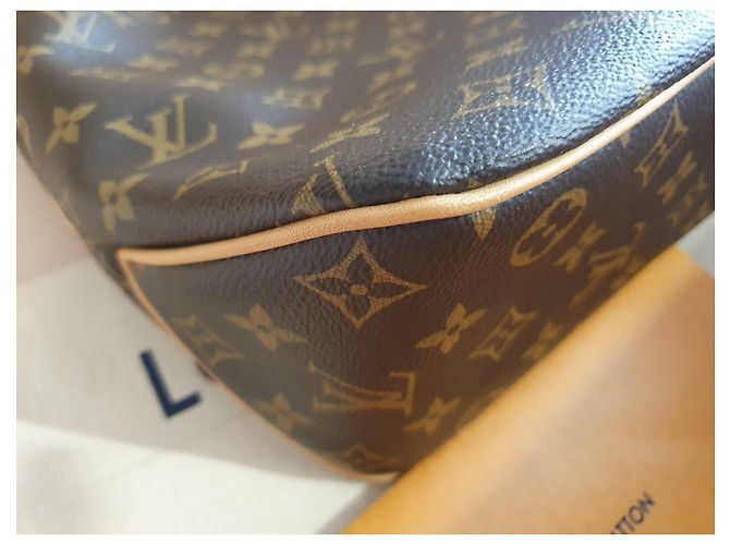 Borsa Louis Vuitton Delightful PM Pivoine Monogram Marrone Monogramma - vista 9