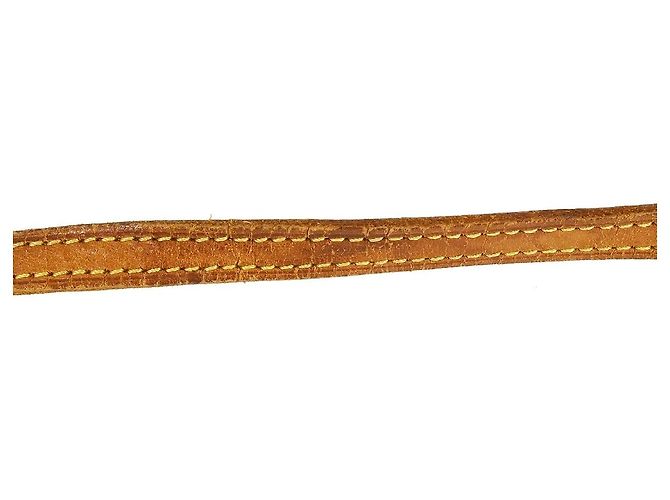 Louis Vuitton Twin Monogram Canvas GM Marrone - vista 6