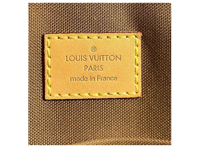 Borsa a Spalla Louis Vuitton Messenger Bosphore PM Marrone - vista 4