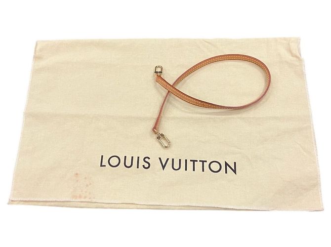 Borsa a Spalla Louis Vuitton Roxbury Drive Nocciola - vista 5