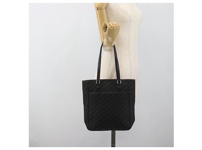 Borsa Tote Christian Dior Trotter Canvas Nera Argento Auth 185124 Nero - vista 22