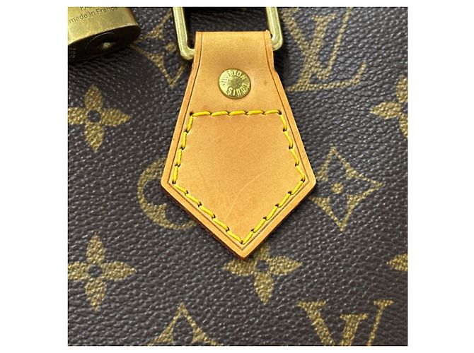 Borsa Louis Vuitton Monogram Alma Marrone - vista 10