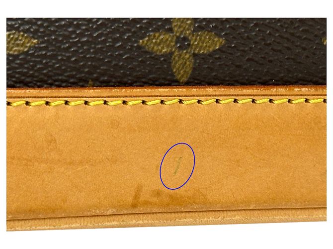 Borsa Louis Vuitton Monogram Alma Marrone - vista 13