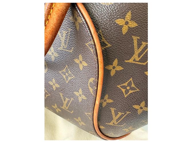 Bolsa Louis Vuitton Monogram Ellipse GM Marrom Monograma - vista 14