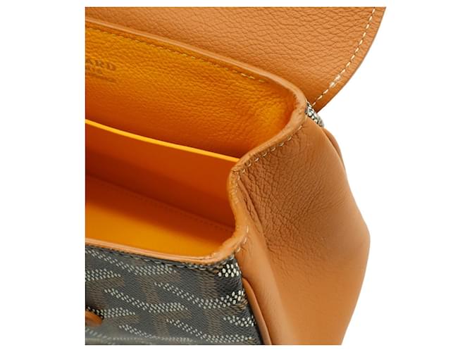 Borsa Goyard Saigon Mini Marrone Nero - vista 9