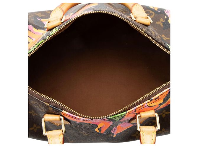 Borsa Louis Vuitton Limited Edition Monogram Canvas Roses Speedy 30 Marrone - vista 7