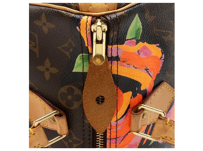 Borsa Louis Vuitton Limited Edition Monogram Canvas Roses Speedy 30 Marrone - vista 9