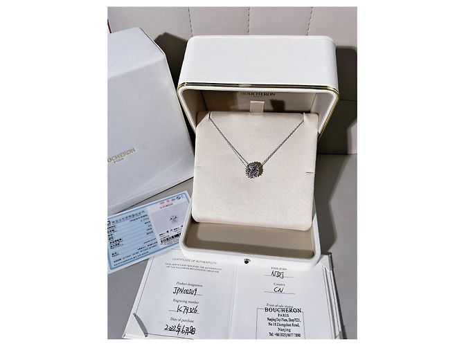 Collar Boucheron Plata - vista 7