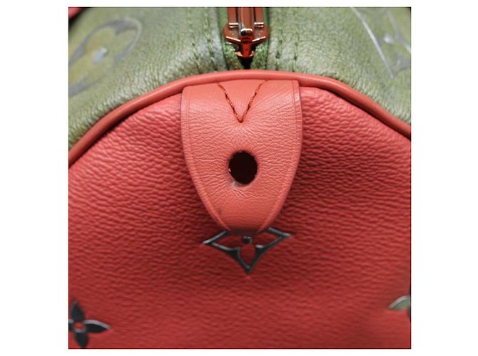 LOUIS VUITTON Masters Collection Mona Lisa Speedy 30 Tasche M43372 LV Auth 87609SAM Pink Khaki - Ansicht 23
