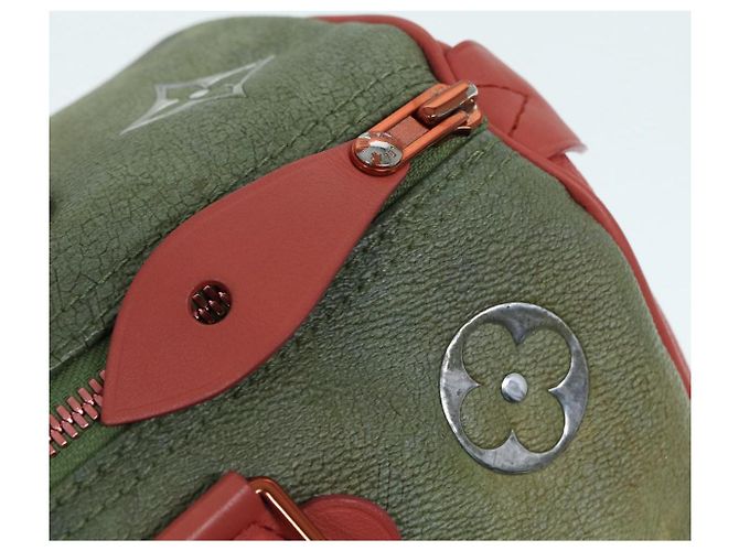LOUIS VUITTON Masters Collection Mona Lisa Speedy 30 Tasche M43372 LV Auth 87609SAM Pink Khaki - Ansicht 24