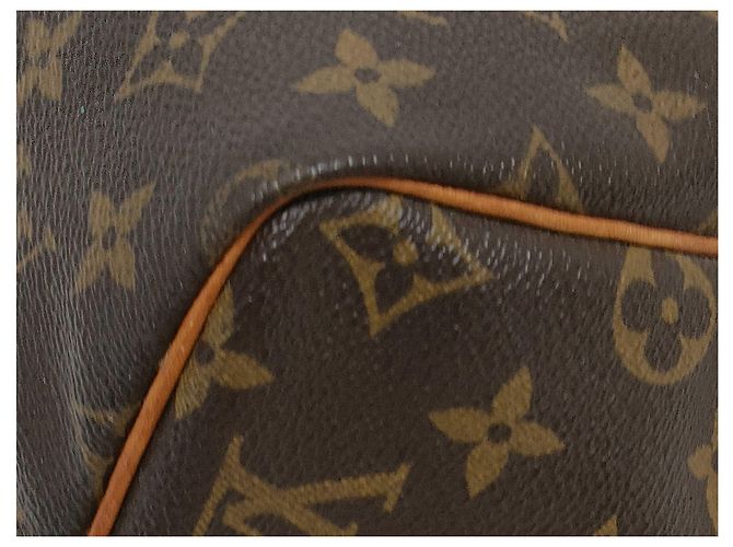 Louis Vuitton Speedy Monogram Canvas 30 Marrone - vista 6