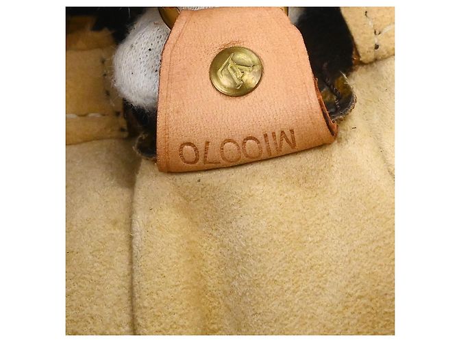 Borsa Louis Vuitton Monogram Looping in Canvas Monogram GM Marrone - vista 5