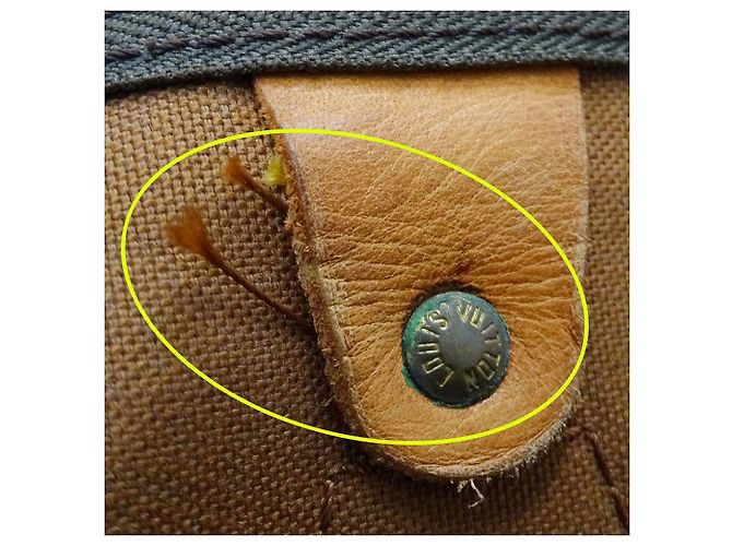 Borsa Louis Vuitton Monogram Canvas Speedy 30 Marrone - vista 15