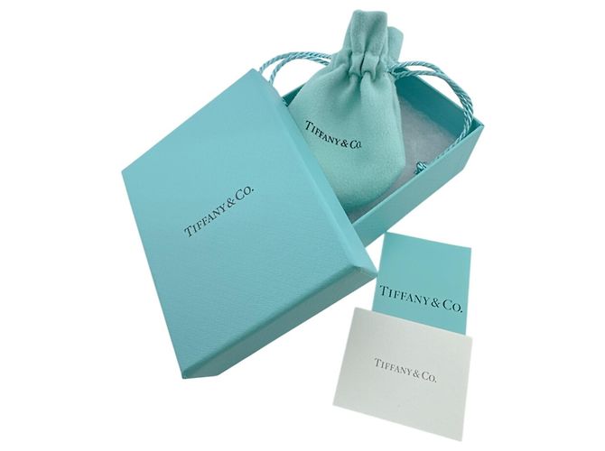 Tiffany & Co Collana Tiffany Double Lock 1837 Choker Chain Argento - vista 10