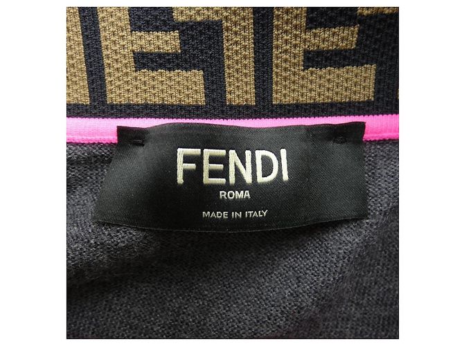 Fendi FZZ411 A4GC Punto Castaño - vista 4