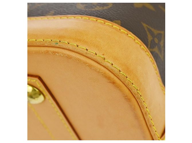 Borsa Louis Vuitton Alma Monogram Canvas PM Marrone - vista 7