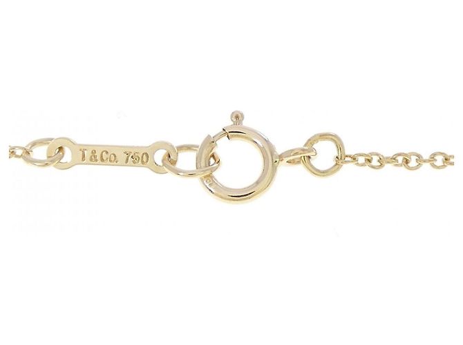 Tiffany & Co Collana Tiffany Victoria - vista 5