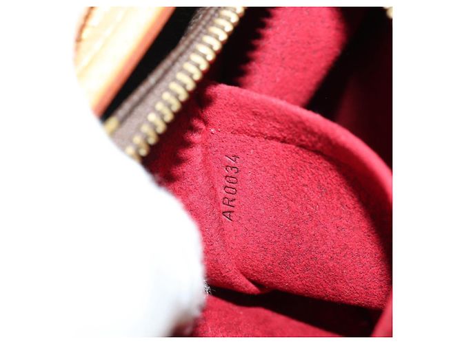 LOUIS VUITTON Bolso de Hombro Monogram Viva Cite MM M51164 LV Auth 185101SAV Monograma - vista 11