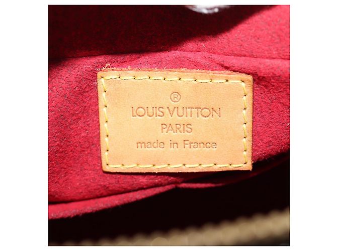 LOUIS VUITTON Bolso de Hombro Monogram Viva Cite MM M51164 LV Auth 185101SAV Monograma - vista 23