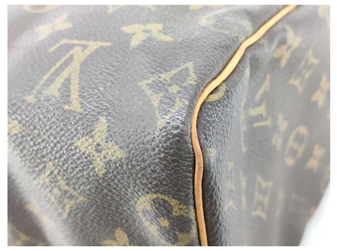 Borsa Louis Vuitton Speedy Monogram Canvas 25 Marrone - vista 4