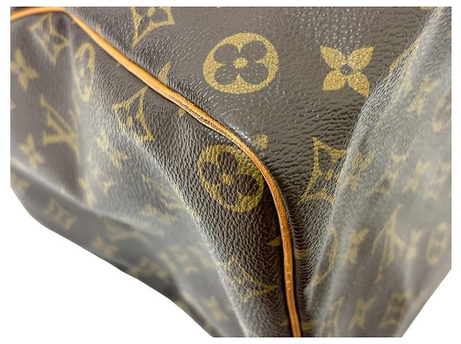 Louis Vuitton Speedy Monogram Canvas 40 Multicolore - vista 4