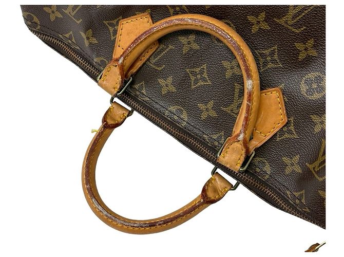 Louis Vuitton Speedy Monogram Canvas 40 Multicolore - vista 5