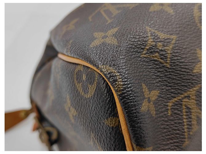 Borsa Louis Vuitton Speedy Monogram Canvas 30 Marrone - vista 3