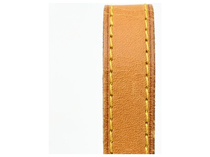 Louis Vuitton Viva Cite Monogram Canvas PM Brown - view 6