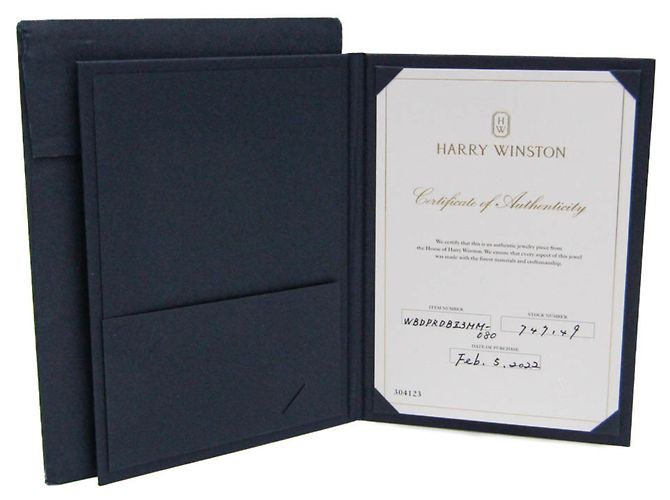 Harry Winston 1P Diamond Verlobungsring Silber - Ansicht 10