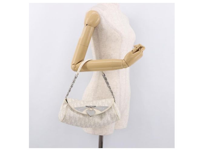 Borsa Christian Dior Trotter Canvas Romantic Chain PVC Bianco Argento Auth 184394SAM - vista 24