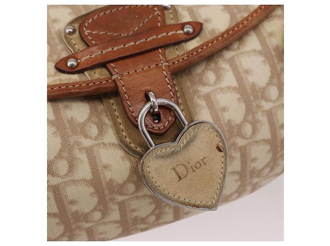 Borsa Christian Dior Trotter Canvas Romantic Chain Ivory Silver Auth 184735A Argento Crudo - vista 19
