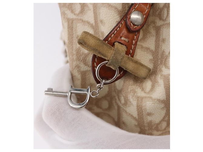 Borsa Christian Dior Trotter Canvas Romantic Chain Ivory Silver Auth 184735A Argento Crudo - vista 8